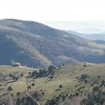 Pletis Molló
